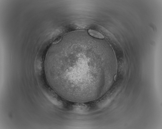 X0000112770215200909031617