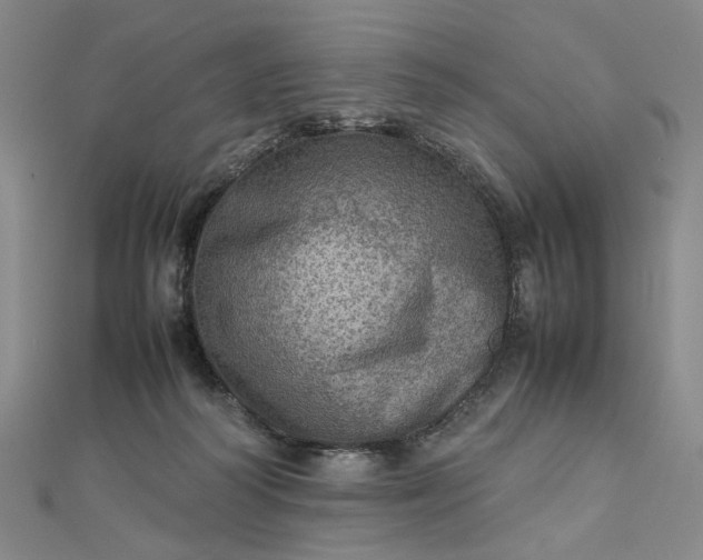 X0000112770218200909031617