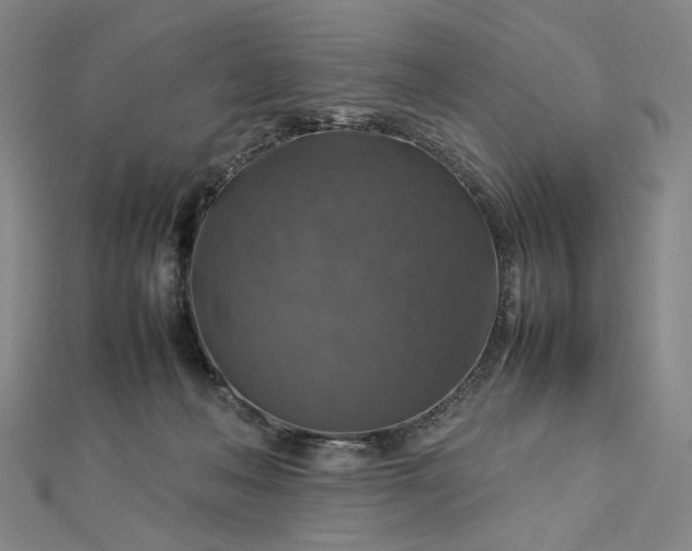 X0000112770222200909031617