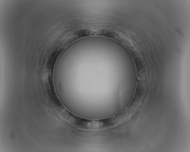 X0000112770225200909031617