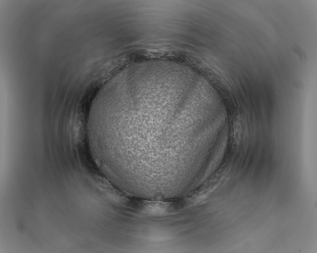 X0000112770226200909031617