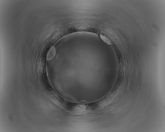 X0000112770227200909031617