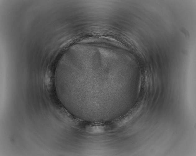 X0000112770228200909031617