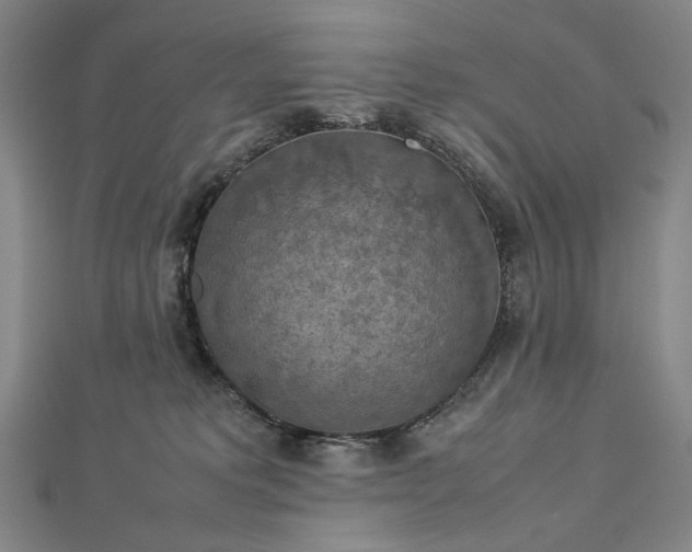 X0000112770229200909031617