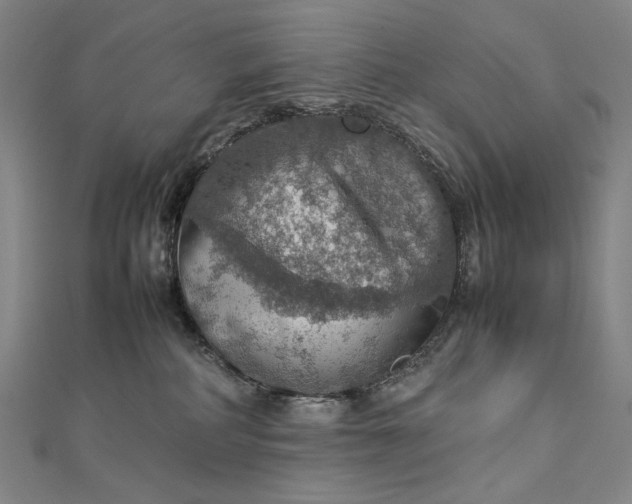 X0000112770234200909031616