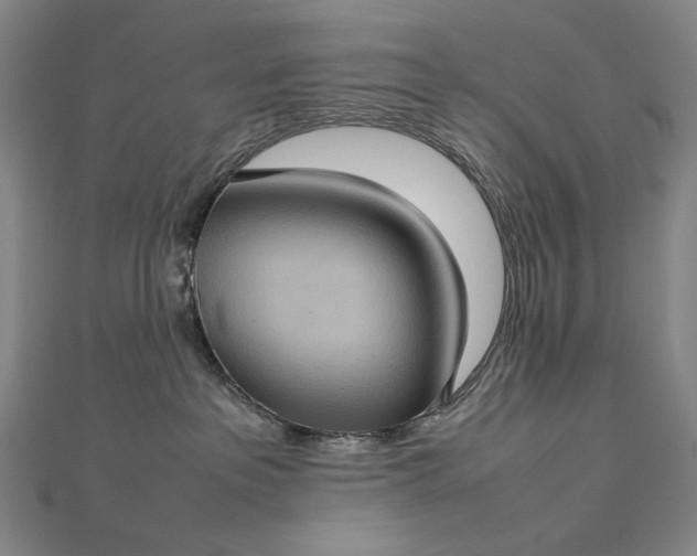 X0000112770237200909031616