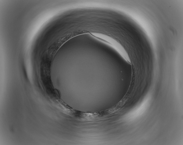 X0000112770239200909031616