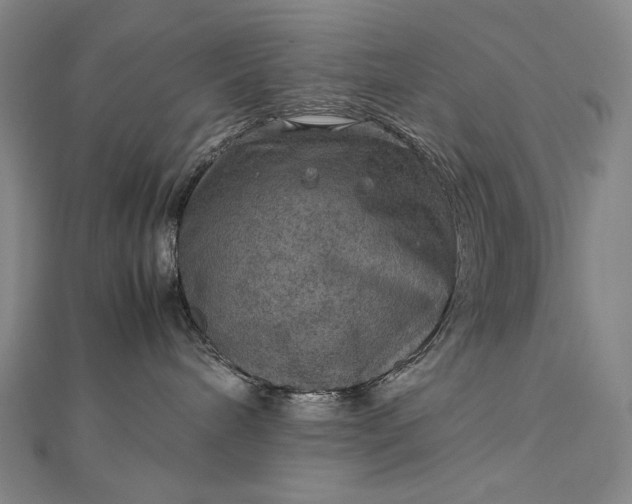 X0000112770240200909031616