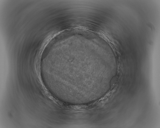 X0000112770241200909031616