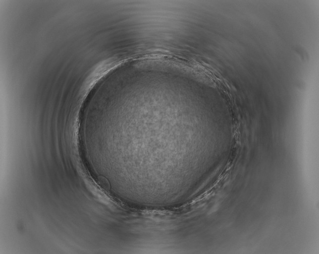 X0000112770242200909031616