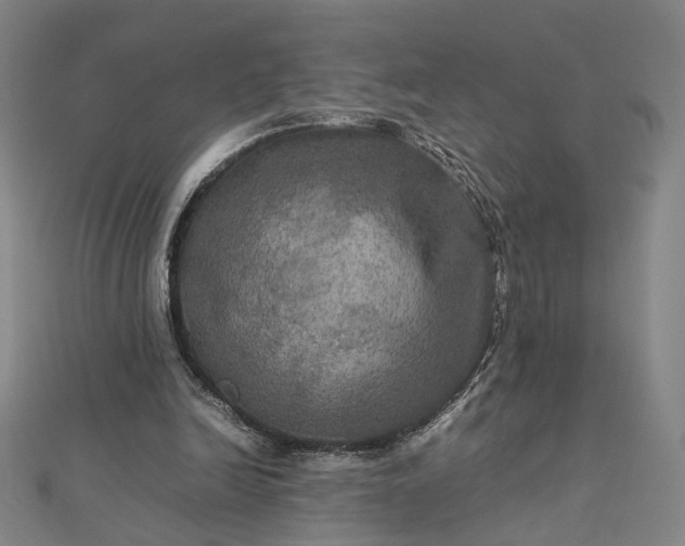 X0000112770246200909031616