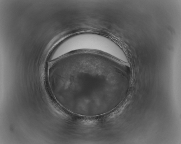 X0000112770247200909031616