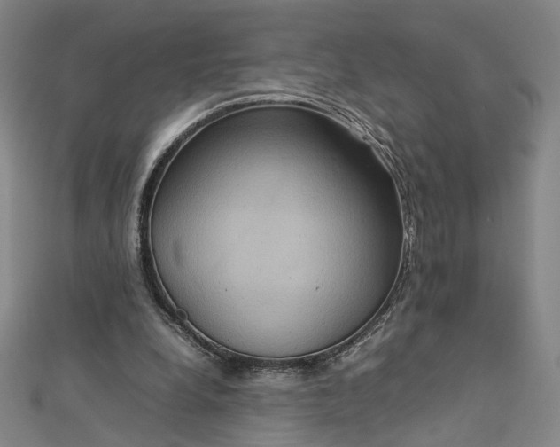 X0000112770248200909031616