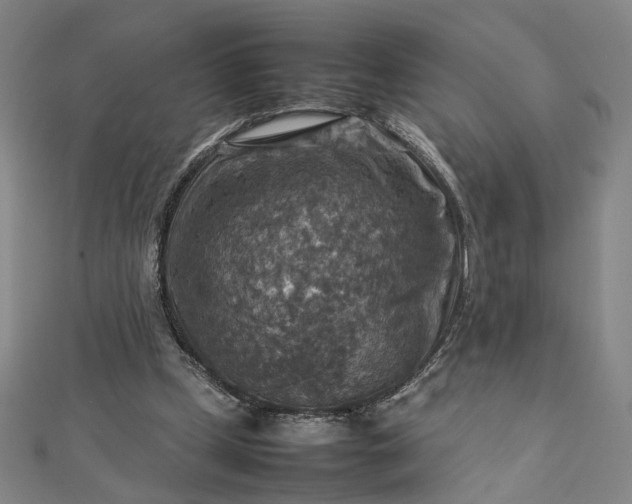 X0000112770249200909031616