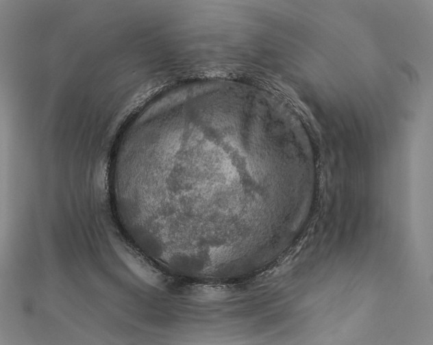 X0000112770250200909031616