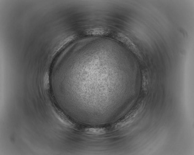 X0000112770251200909031616