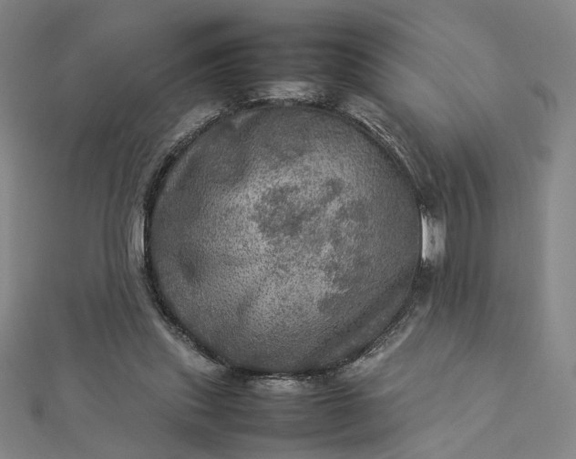 X0000112770253200909031616