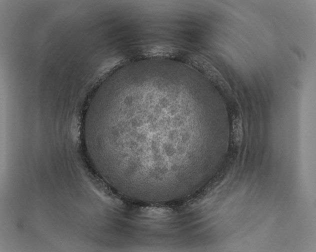 X0000112770255200909031616