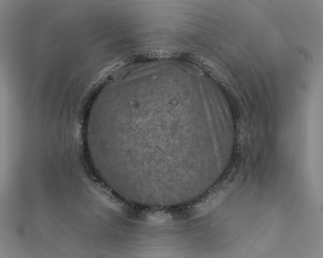 X0000112770258200909031616