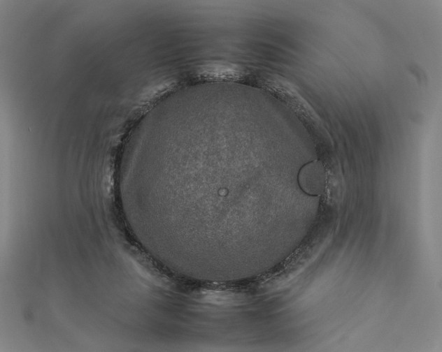 X0000112770259200909031616