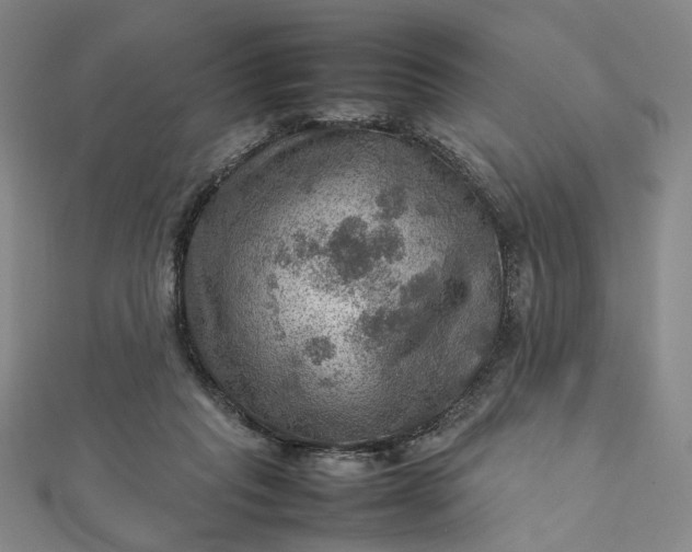 X0000112770261200909031616