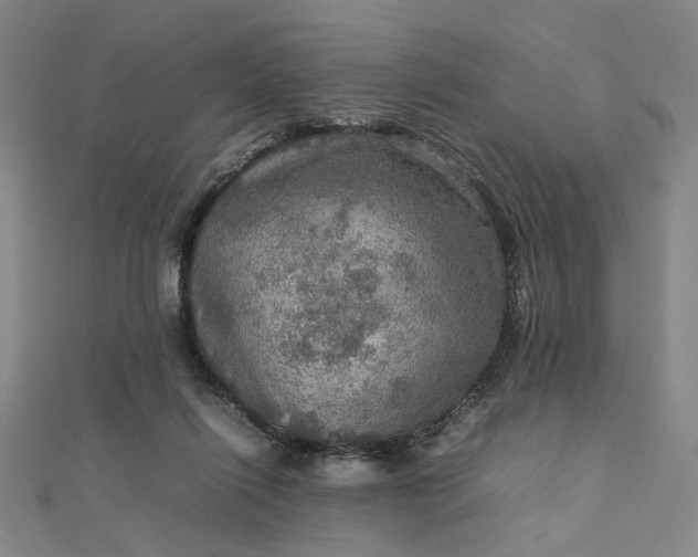 X0000112770262200909031616