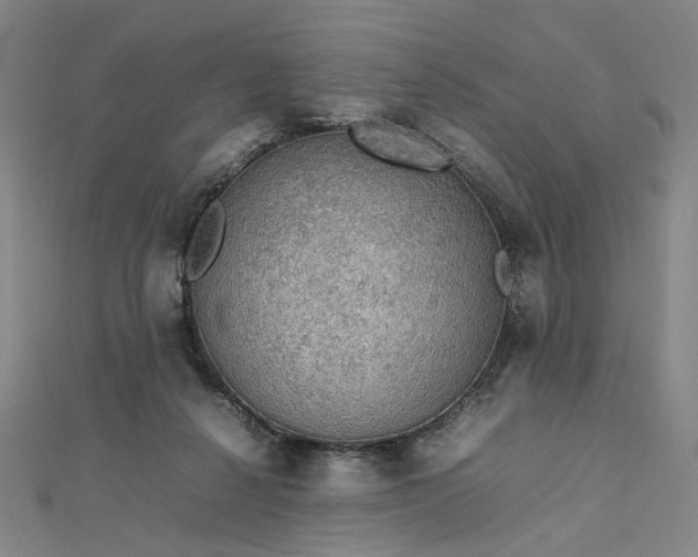 X0000112770264200909031616