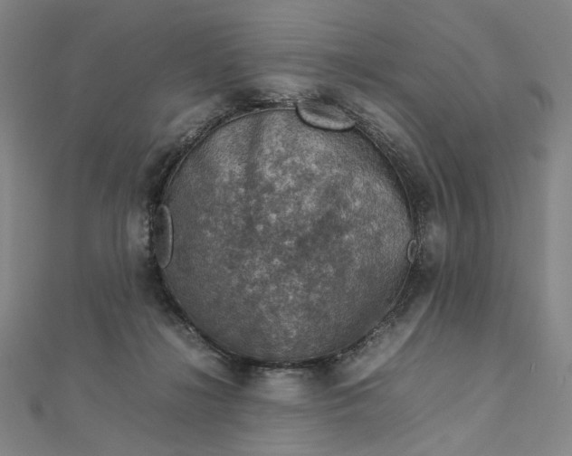 X0000112770268200909031616