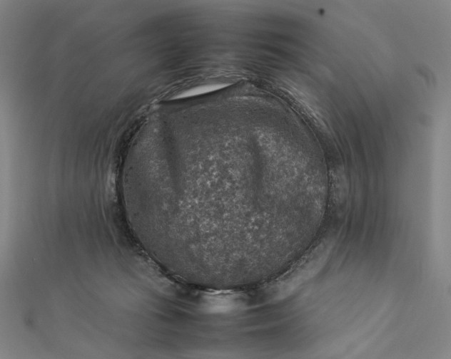 X0000112770269200909031616