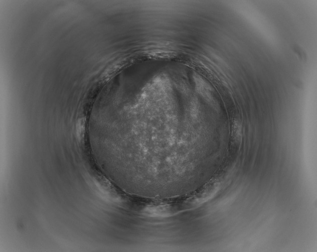 X0000112770271200909031616