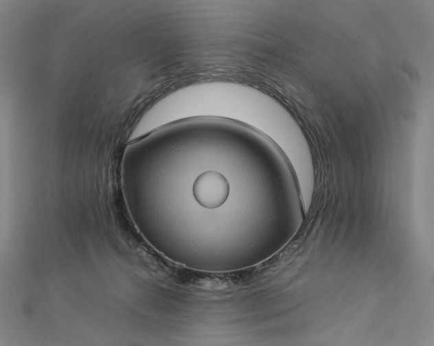 X0000112770272200909031616