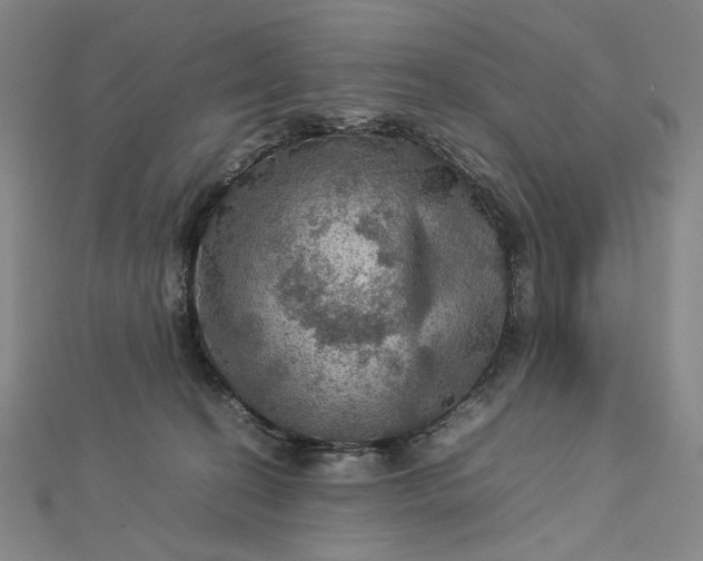 X0000112770274200909031616