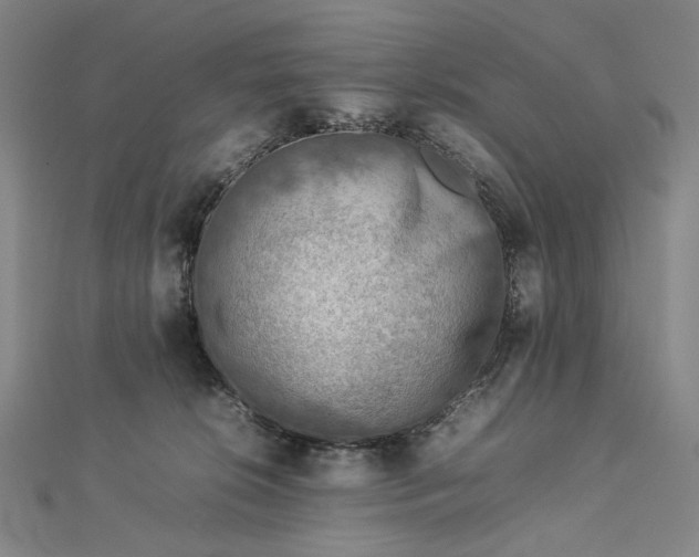 X0000112770276200909031616