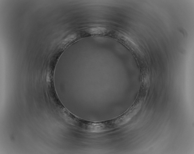 X0000112770277200909031616