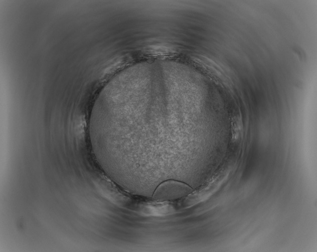 X0000112770279200909031616