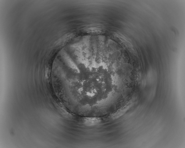 X0000112770281200909031616