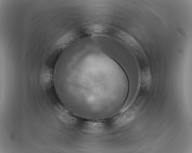 X0000112770284200909031616