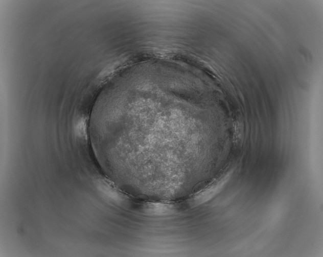 X0000112770286200909031616