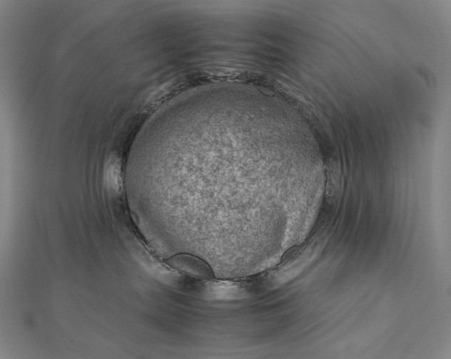 X0000112770287200909031616