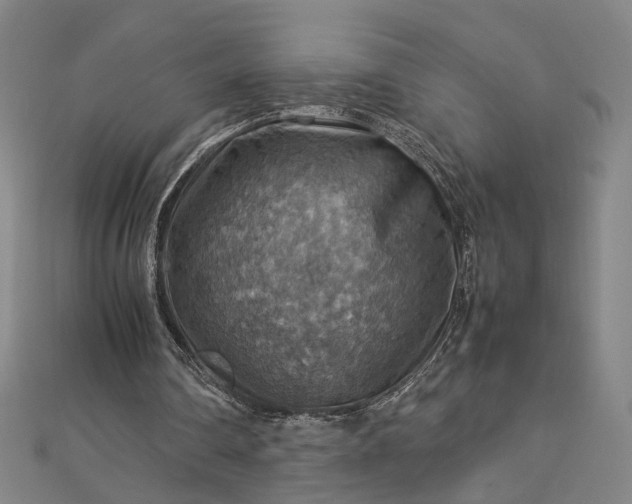 X0000112770290200909031616