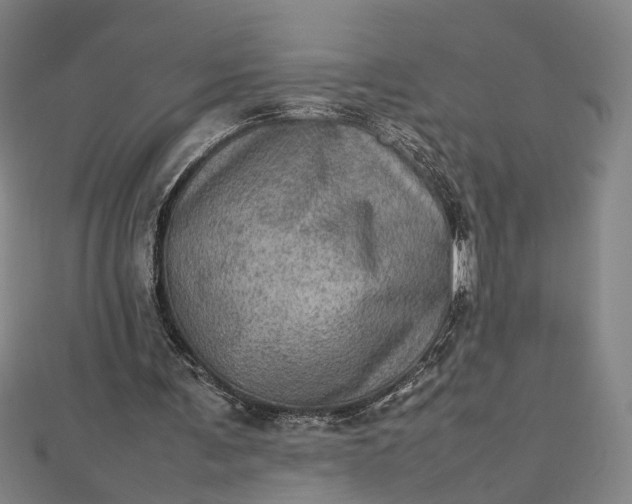 X0000112770291200909031616