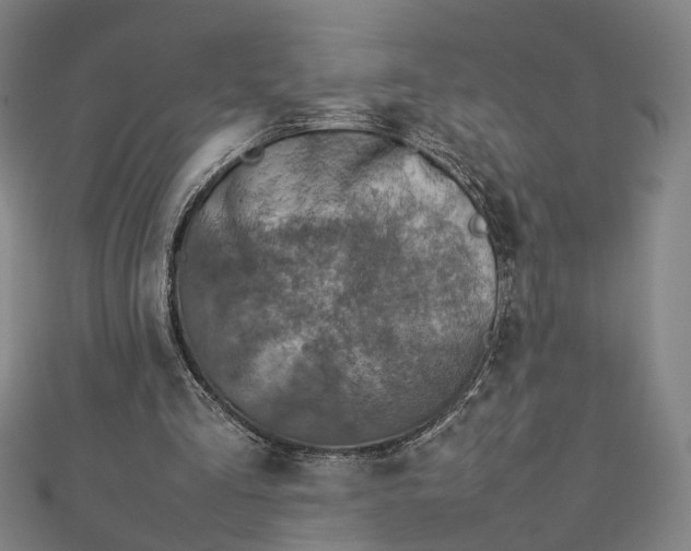 X0000112770293200909031616