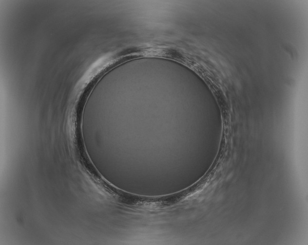 X0000112770295200909031616