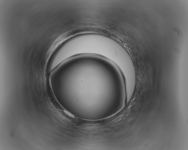 X0000112770296200909031616