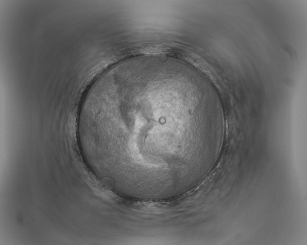 X0000112770297200909031616