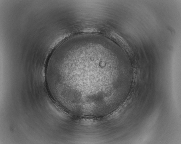 X0000112770298200909031616