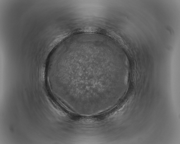 X0000112770299200909031616