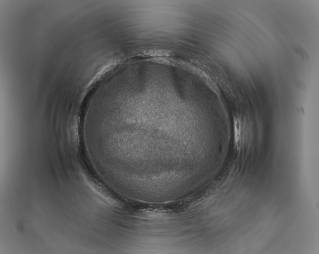 X0000112770300200909031616