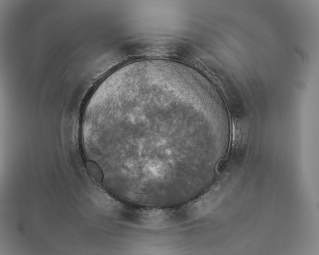 X0000112770301200909031616