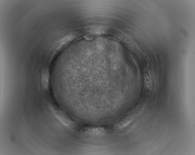 X0000112770304200909031616